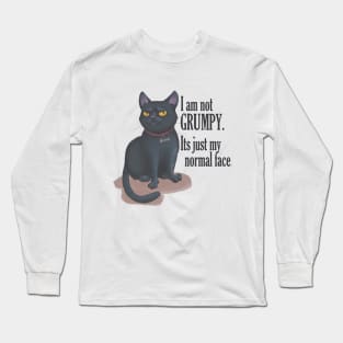 cat with groompy face Long Sleeve T-Shirt